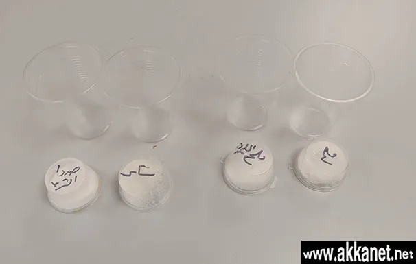 31810193 4ec4 4887 B4fc F5e0eb37ce01