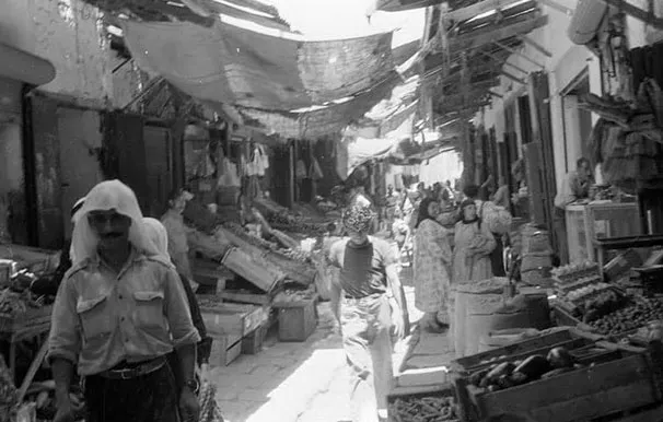 465024816 1369207687412788 3901657035851315988 N