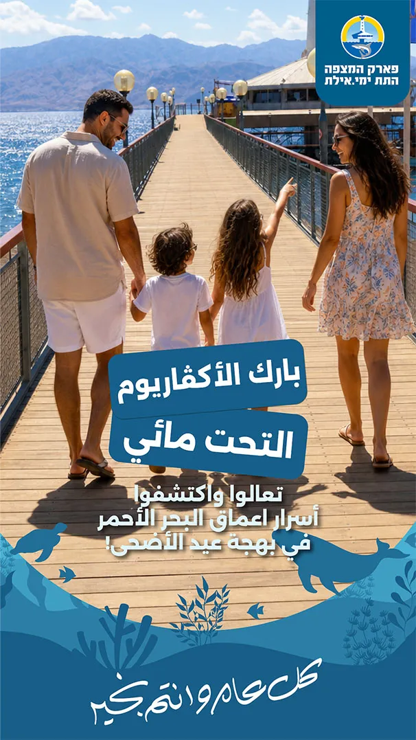 פורמט סטורי לשילוב עם תמונה 01