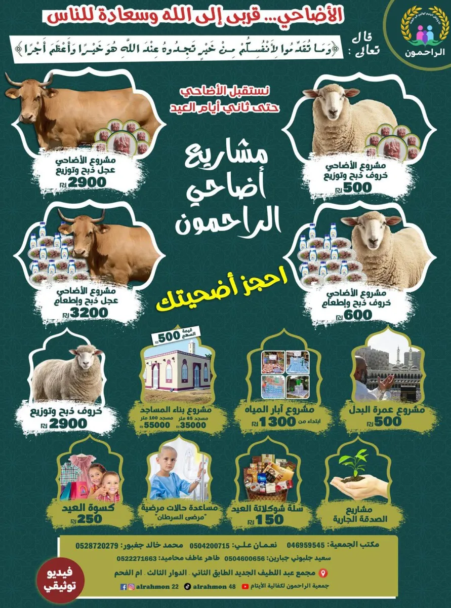 الاضاحي