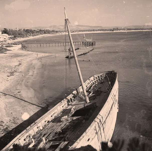 1963אוסף הצלם דוד חריס יד בן צבי