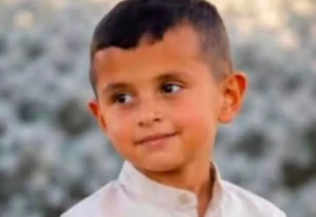 Img 20260810 Wa0029